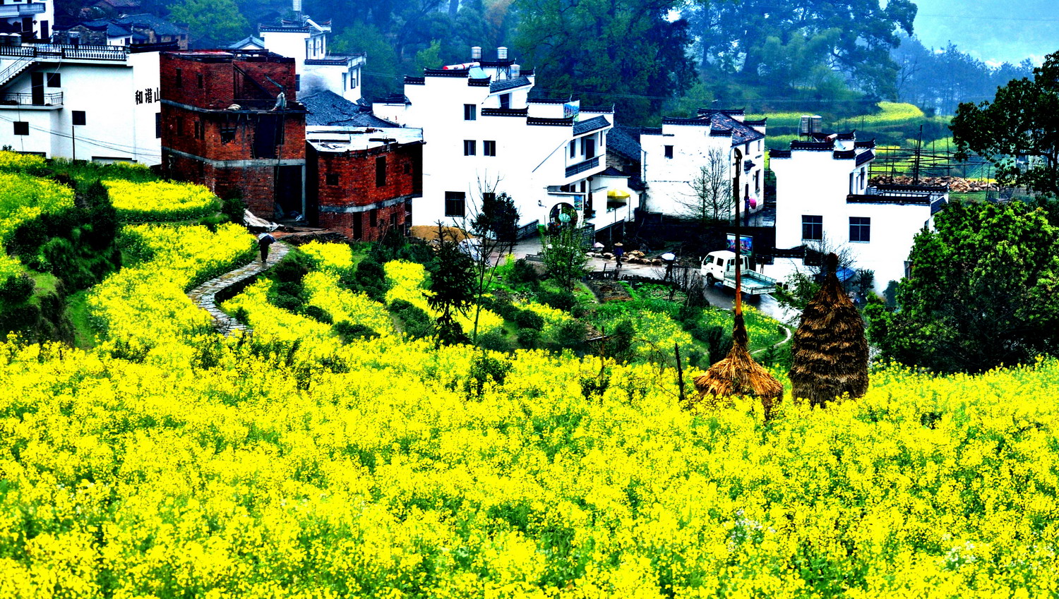 煙花三月去哪玩兒？2017最受歡迎十大古鎮出爐，麗江首脫榜｜美通社頭條