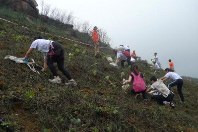 今年逾700人報(bào)名參加，為一幅去年被山火燒去大范圍林木的山坡種植約6,000棵樹苗。